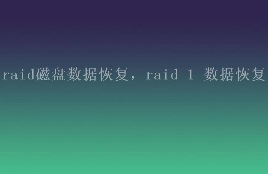 raid磁盘数据恢复，raid 1 数据恢复2