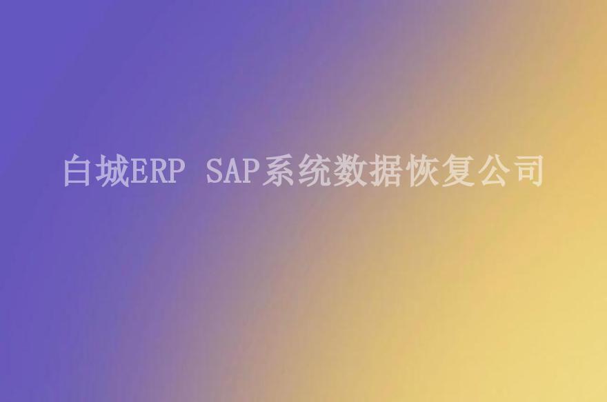 白城ERP SAP系统数据恢复公司2