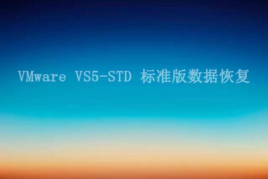 VMware VS5-STD 标准版数据恢复1