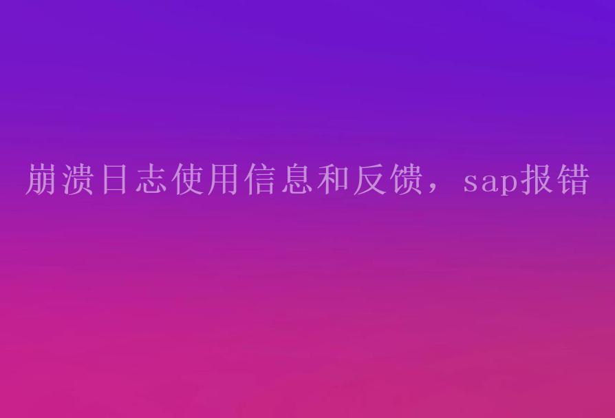 崩溃日志使用信息和反馈，sap报错1