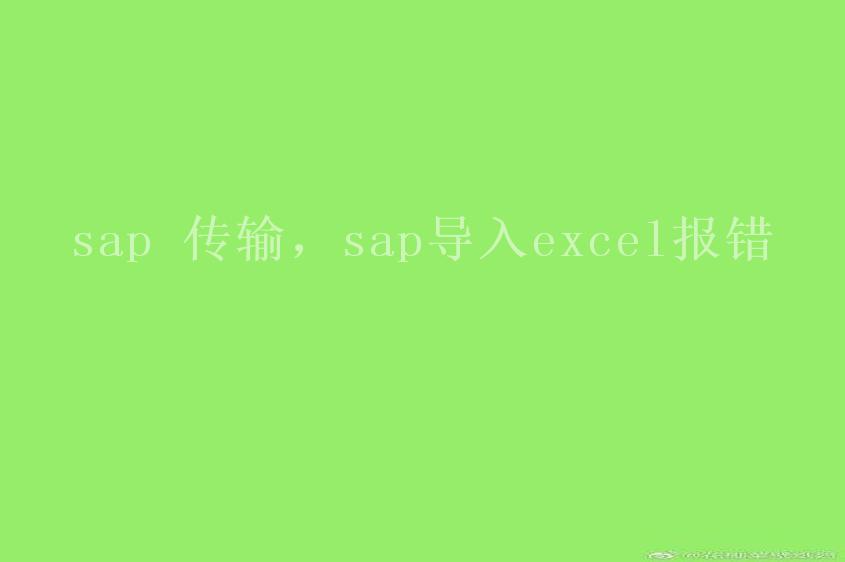 sap 传输，sap导入excel报错2