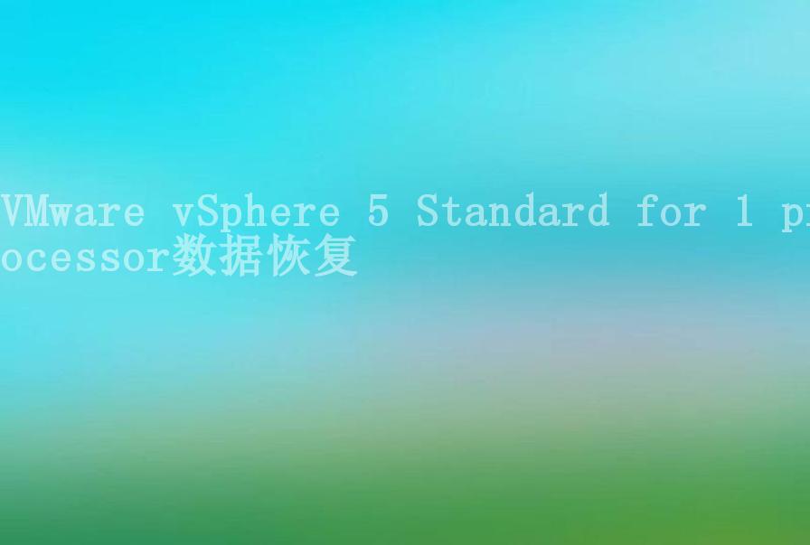 VMware vSphere 5 Standard for 1 processor数据恢复2