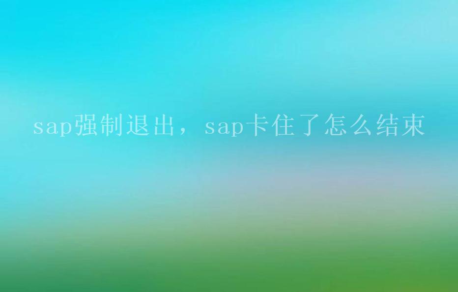 sap强制退出，sap卡住了怎么结束1