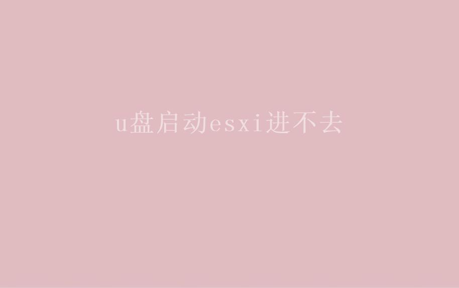 u盘启动esxi进不去1