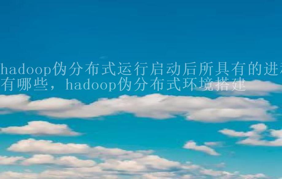 hadoop伪分布式运行启动后所具有的进程有哪些，hadoop伪分布式环境搭建2