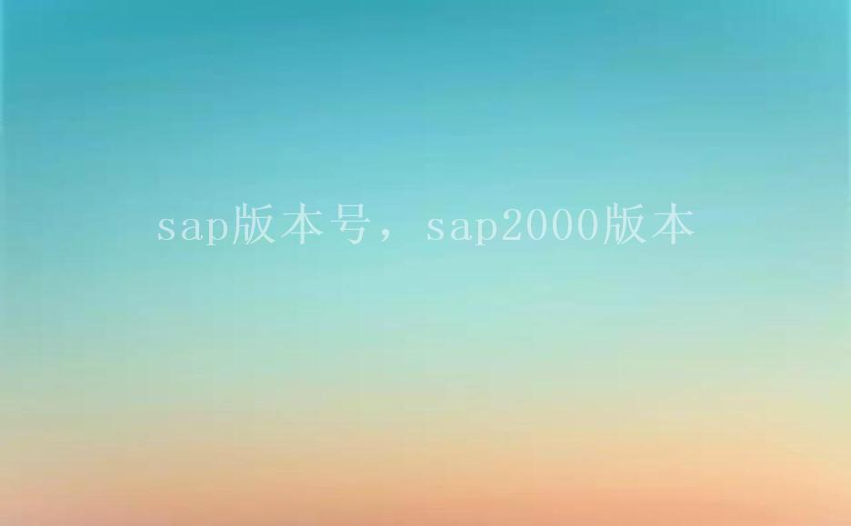 sap版本号，sap2000版本1