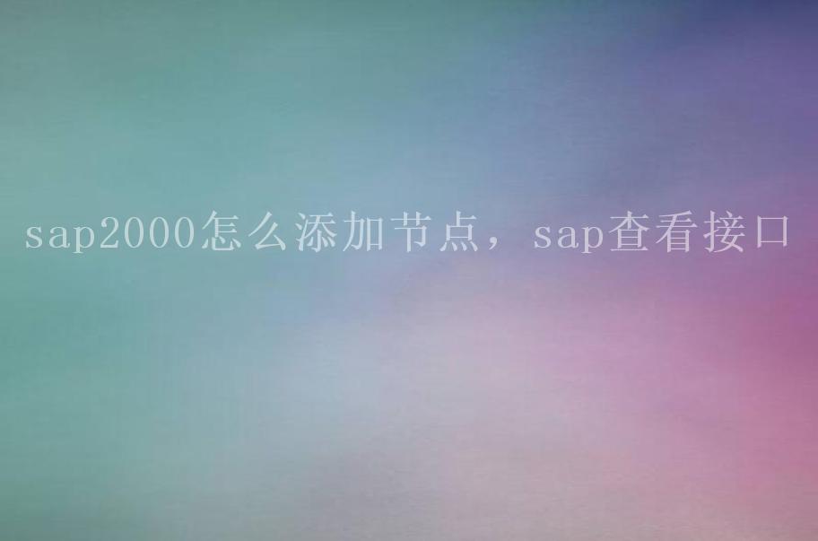 sap2000怎么添加节点，sap查看接口2