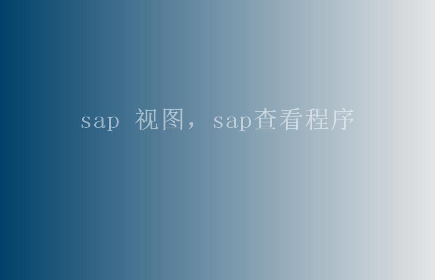 sap 视图，sap查看程序1