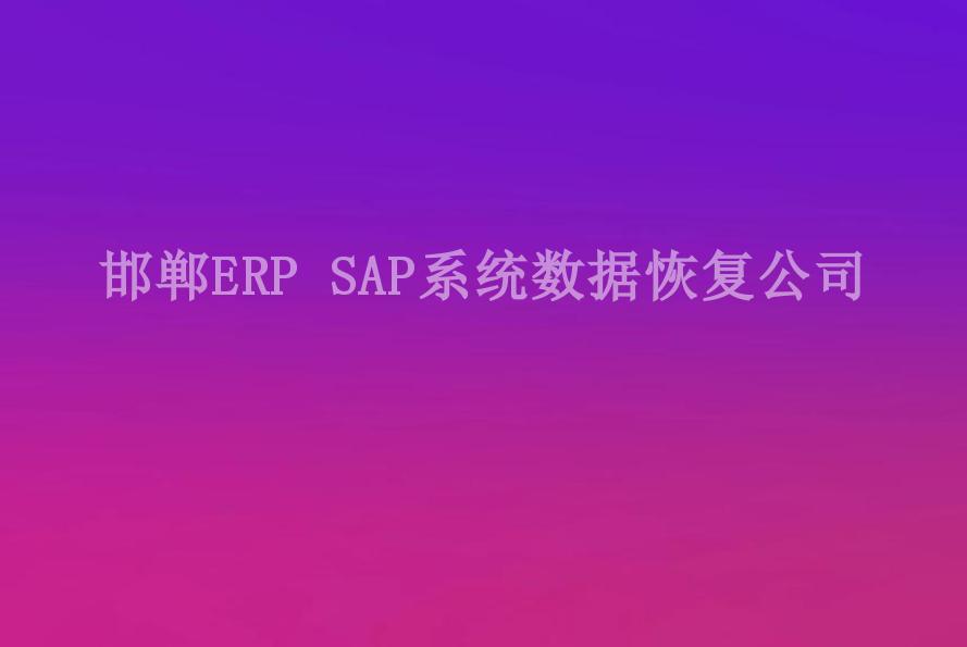 邯郸ERP SAP系统数据恢复公司2