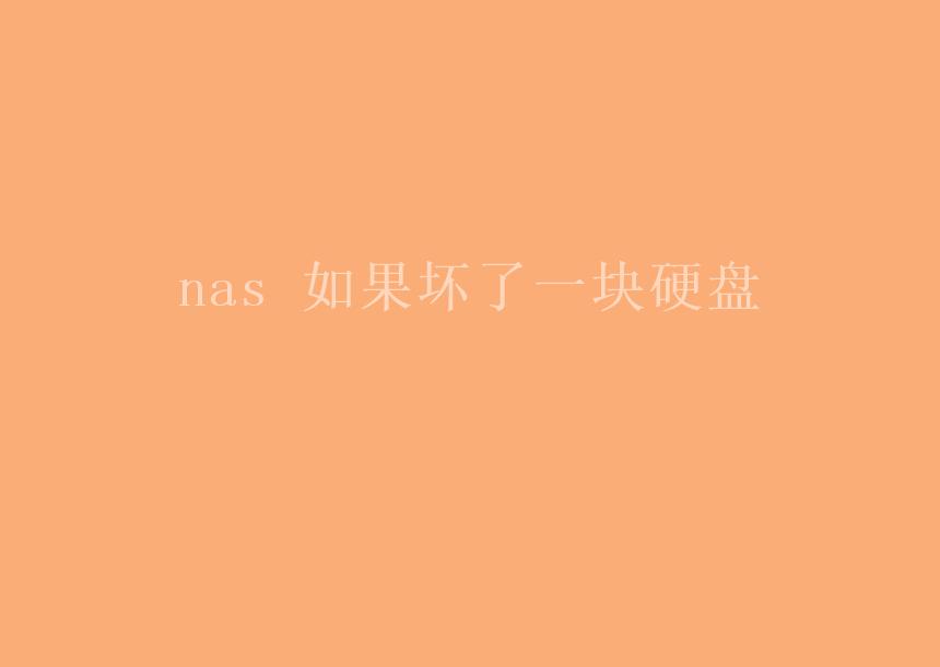 nas 如果坏了一块硬盘1