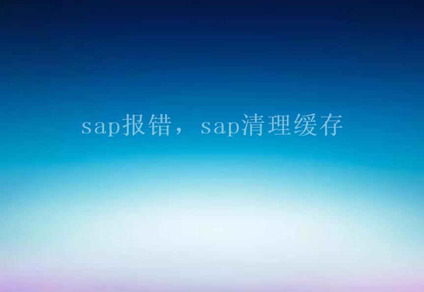 sap报错，sap清理缓存1