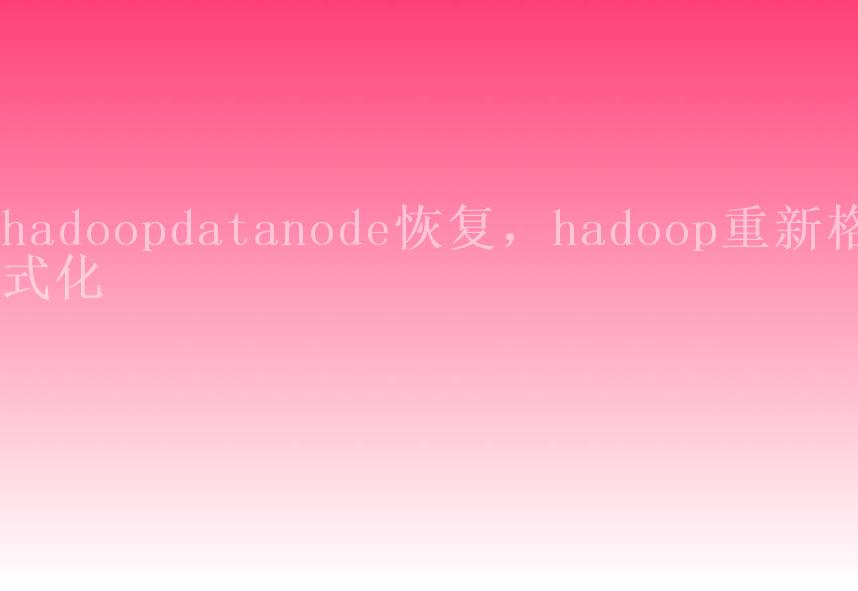 hadoopdatanode恢复，hadoop重新格式化2