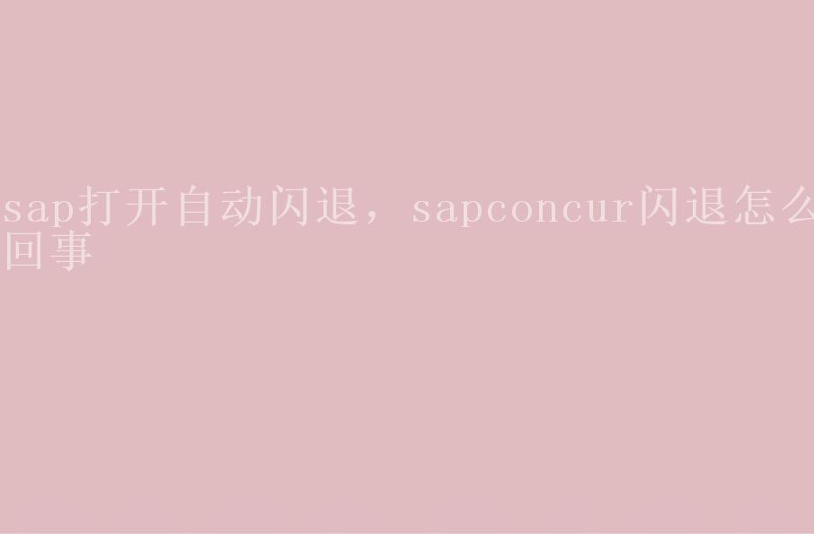 sap打开自动闪退，sapconcur闪退怎么回事2