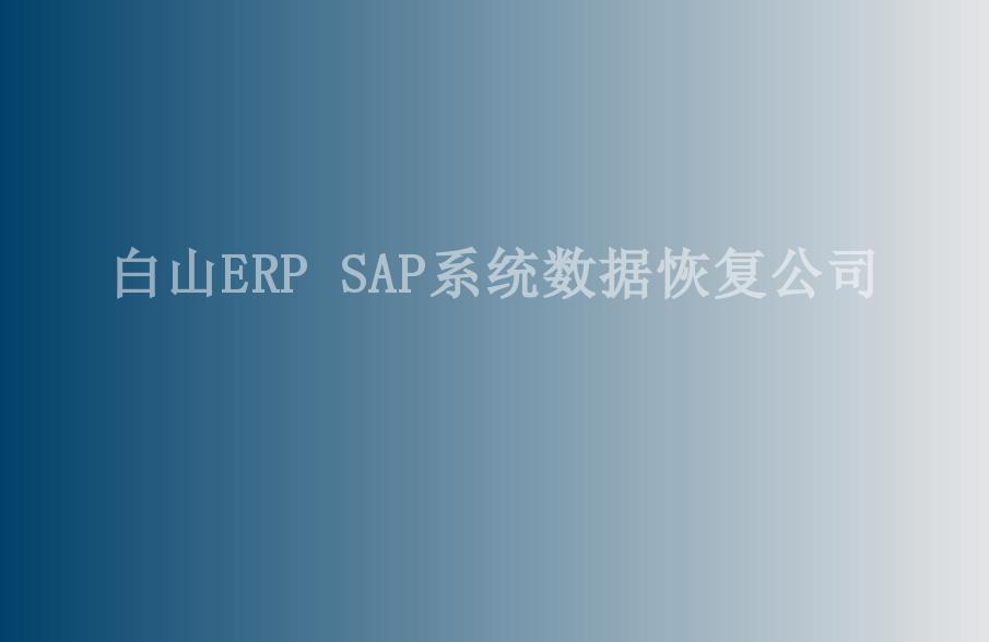 白山ERP SAP系统数据恢复公司1