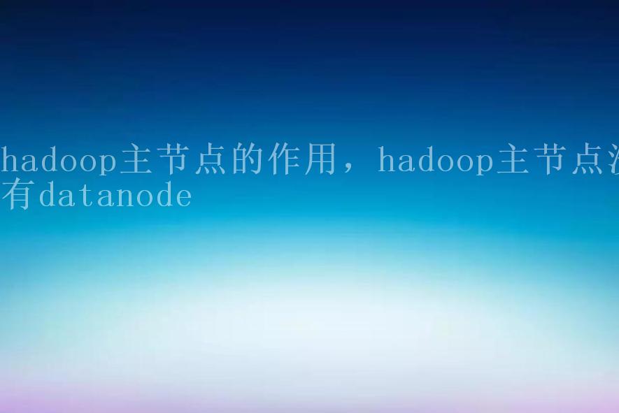 hadoop主节点的作用，hadoop主节点没有datanode2