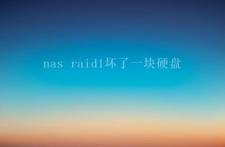 nas raid1坏了一块硬盘1