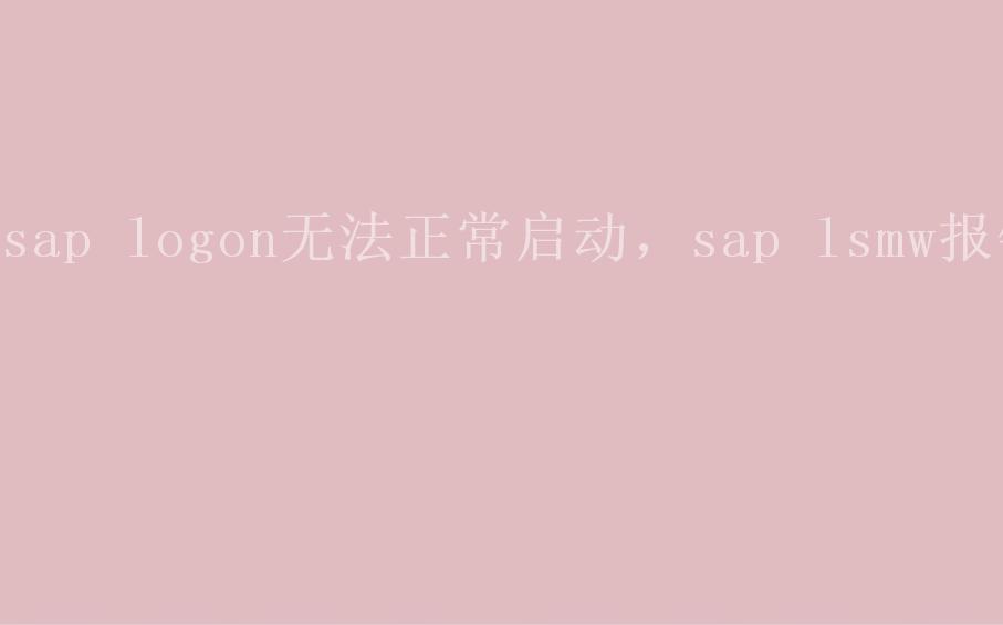 sap logon无法正常启动，sap lsmw报错1