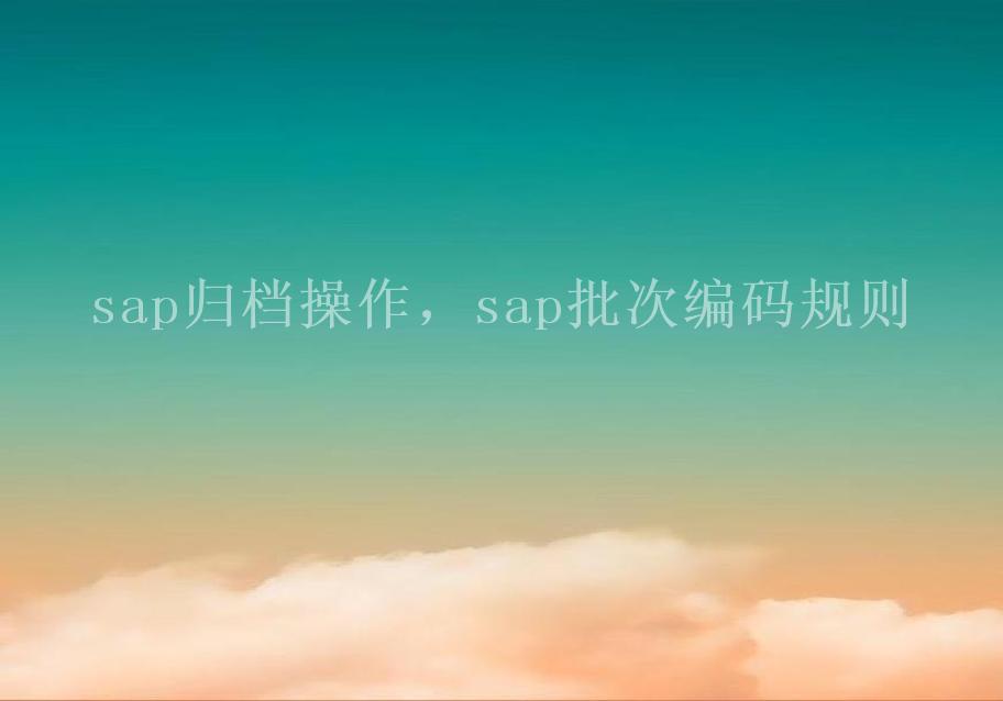 sap归档操作，sap批次编码规则2