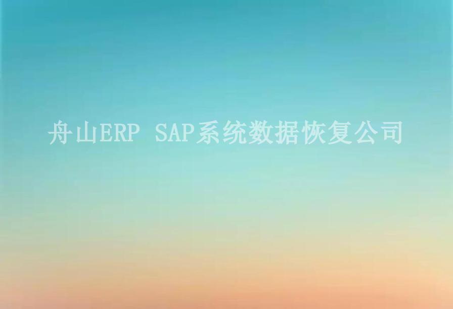 舟山ERP SAP系统数据恢复公司1