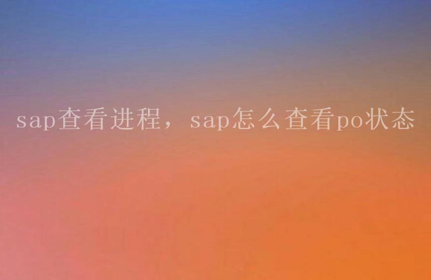 sap查看进程，sap怎么查看po状态1