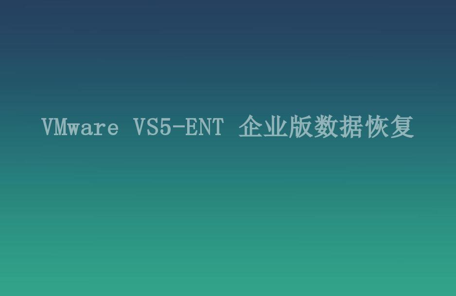 VMware VS5-ENT 企业版数据恢复2