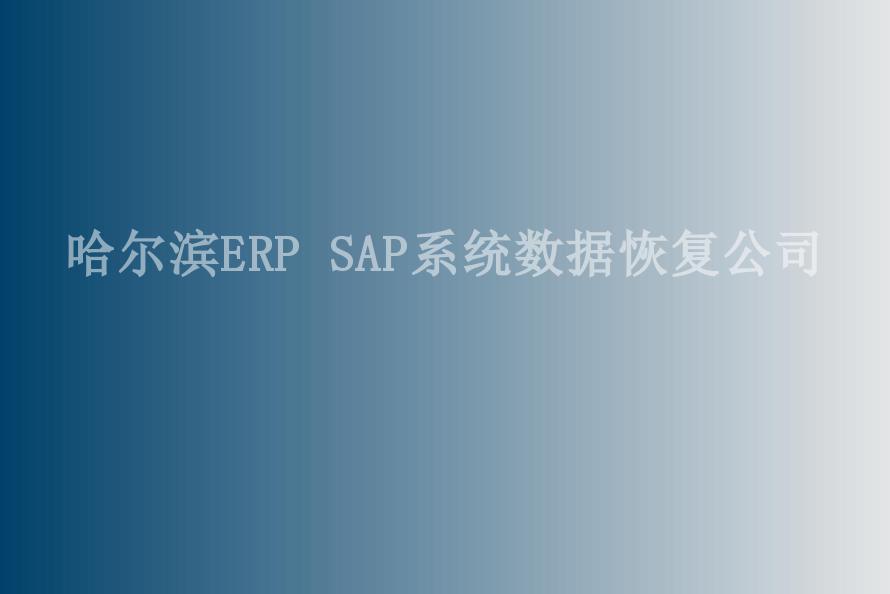 哈尔滨ERP SAP系统数据恢复公司1