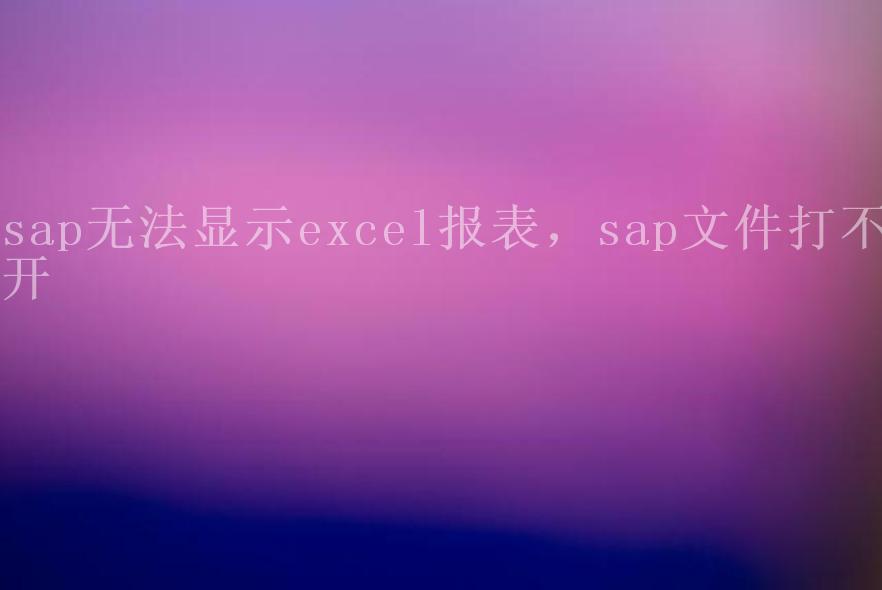 sap无法显示excel报表，sap文件打不开1