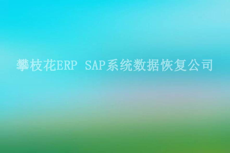 攀枝花ERP SAP系统数据恢复公司2