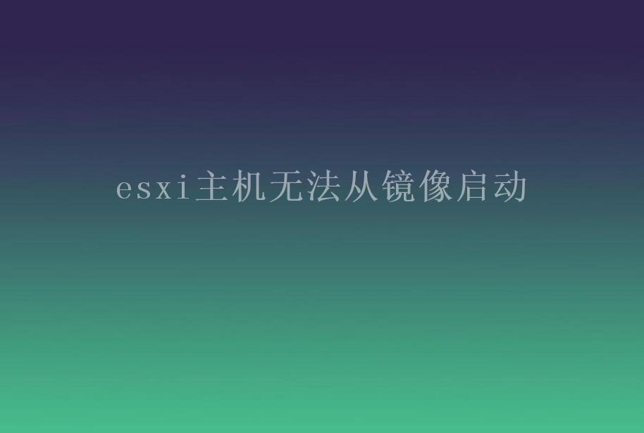 esxi主机无法从镜像启动1