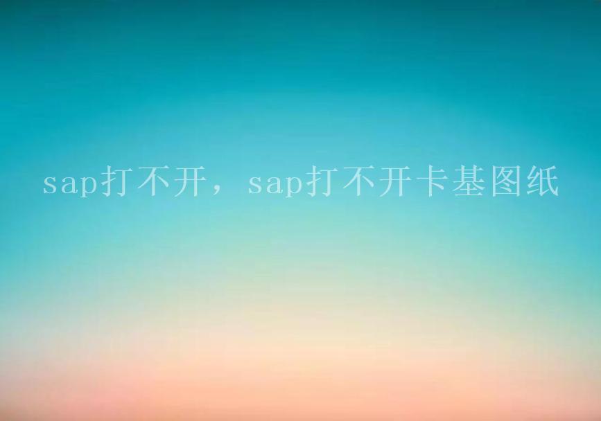 sap打不开，sap打不开卡基图纸1