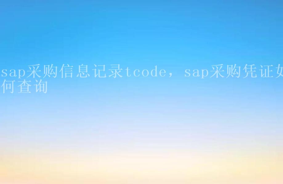 sap采购信息记录tcode，sap采购凭证如何查询1