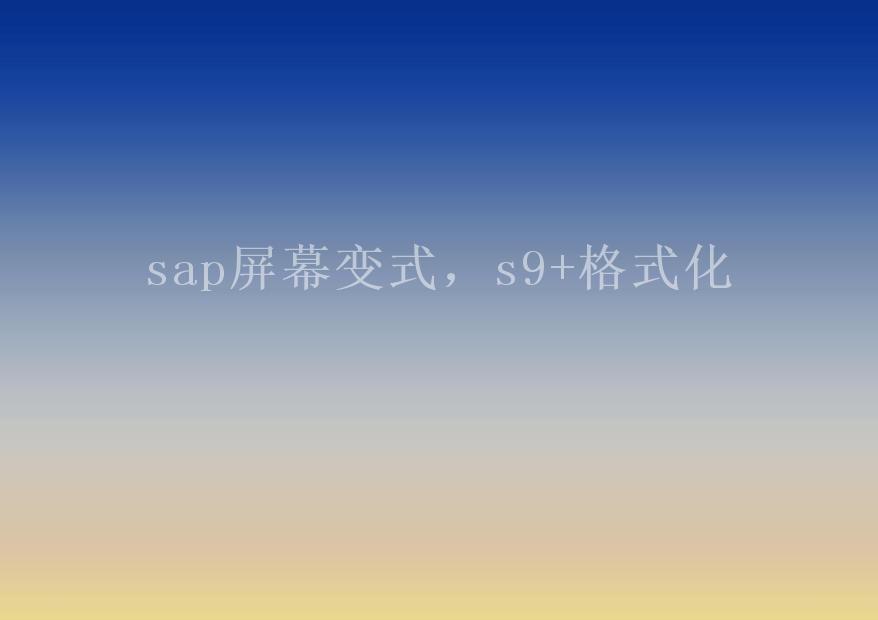 sap屏幕变式，s9+格式化1