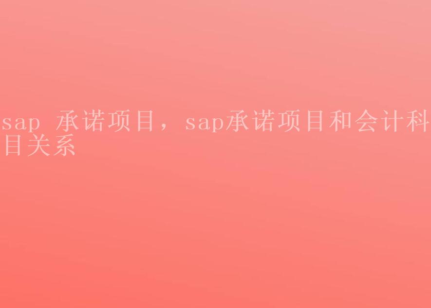 sap 承诺项目，sap承诺项目和会计科目关系2