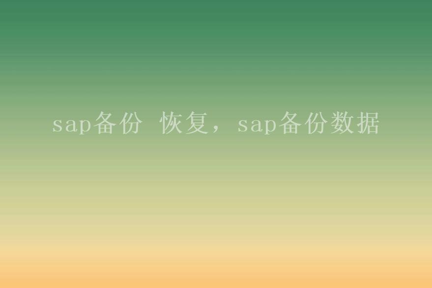 sap备份 恢复，sap备份数据2