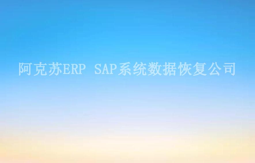 阿克苏ERP SAP系统数据恢复公司2