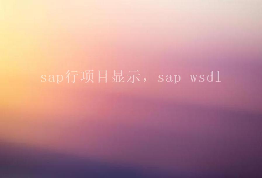 sap行项目显示，sap wsdl2