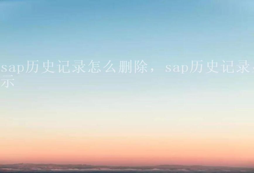 sap历史记录怎么删除，sap历史记录显示1