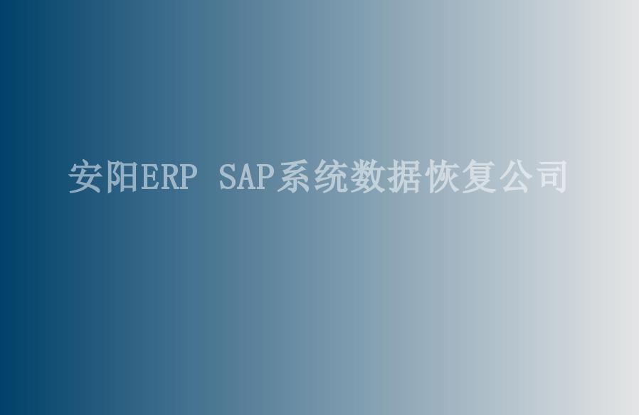 安阳ERP SAP系统数据恢复公司1