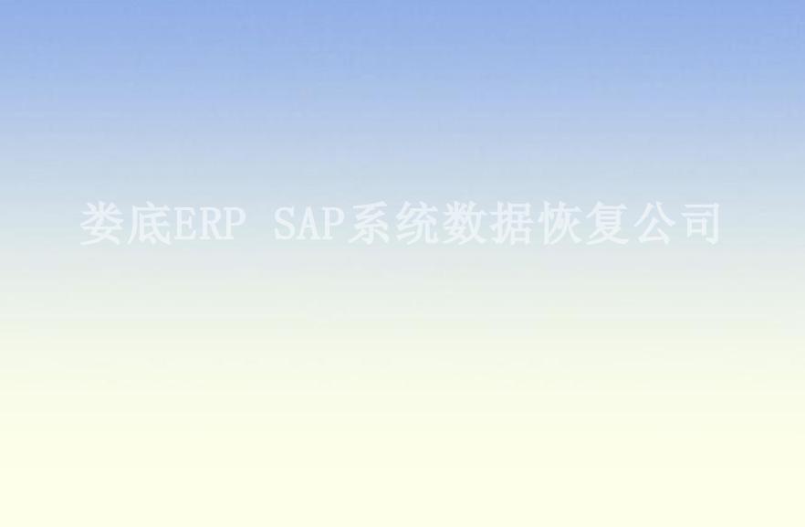 娄底ERP SAP系统数据恢复公司1