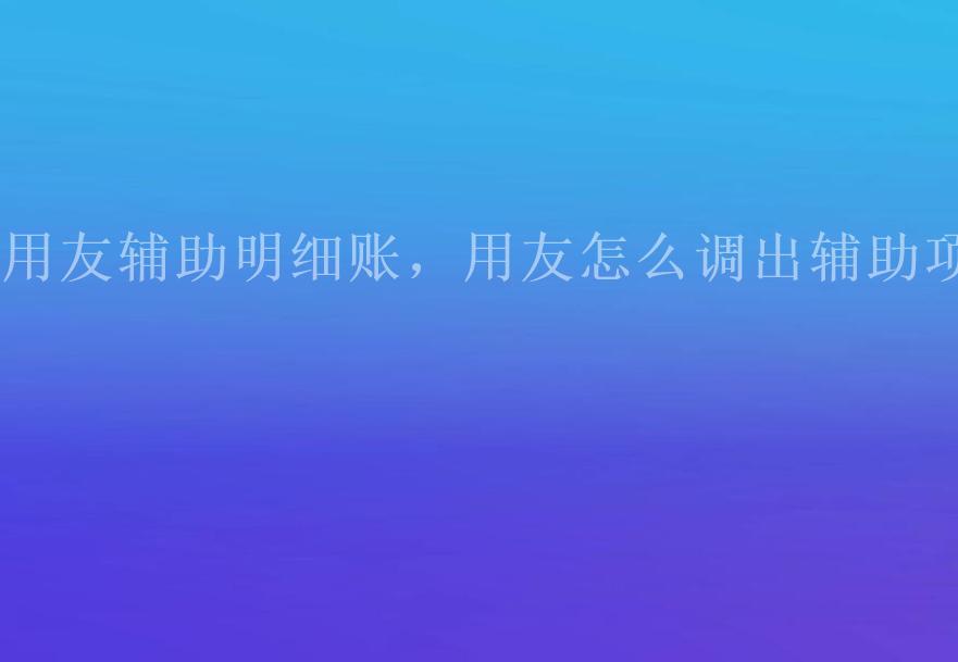 用友辅助明细账，用友怎么调出辅助项2