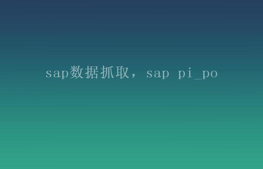 sap数据抓取，sap pi_po1