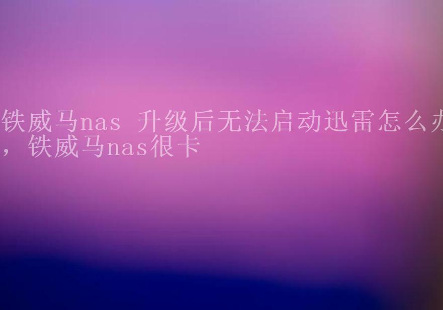 铁威马nas 升级后无法启动迅雷怎么办，铁威马nas很卡2