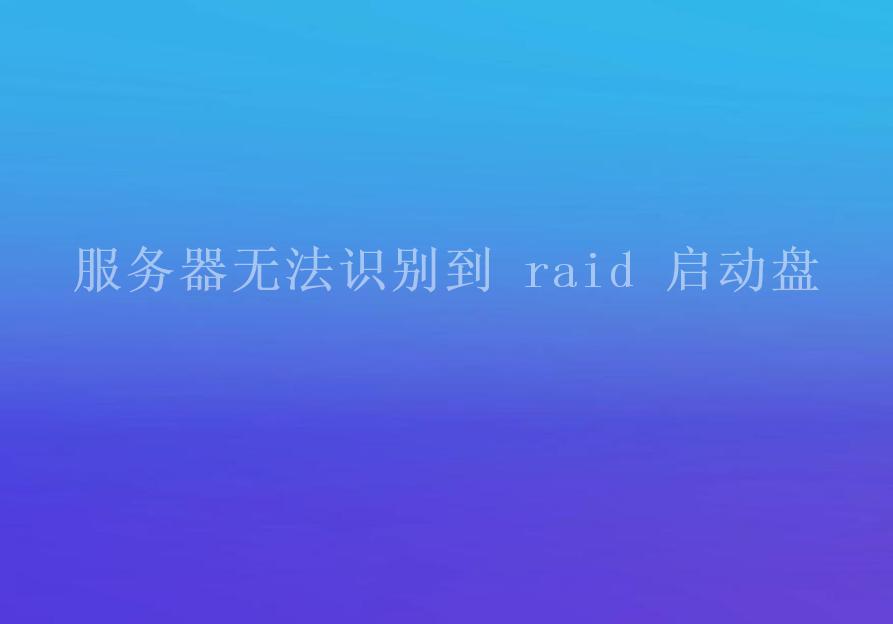 服务器无法识别到 raid 启动盘2