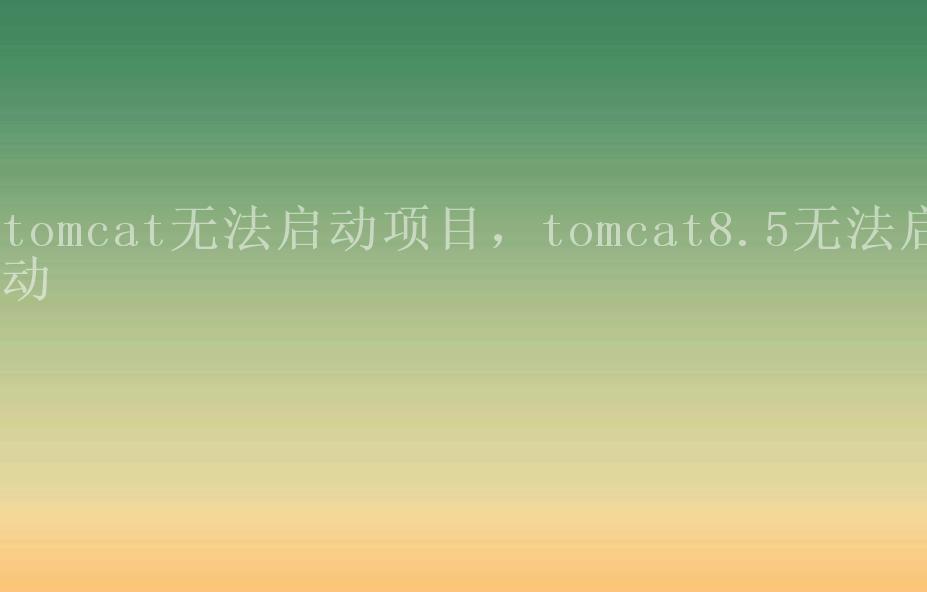 tomcat无法启动项目，tomcat8.5无法启动2