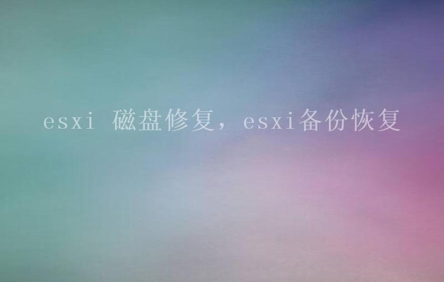 esxi 磁盘修复，esxi备份恢复2