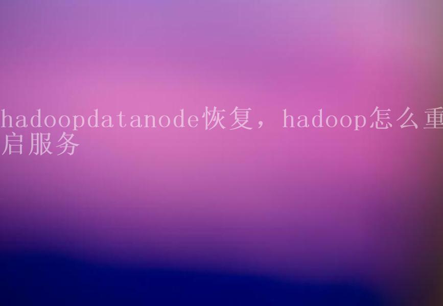 hadoopdatanode恢复，hadoop怎么重启服务2