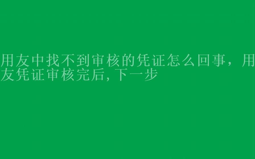 用友中找不到审核的凭证怎么回事，用友凭证审核完后,下一步1