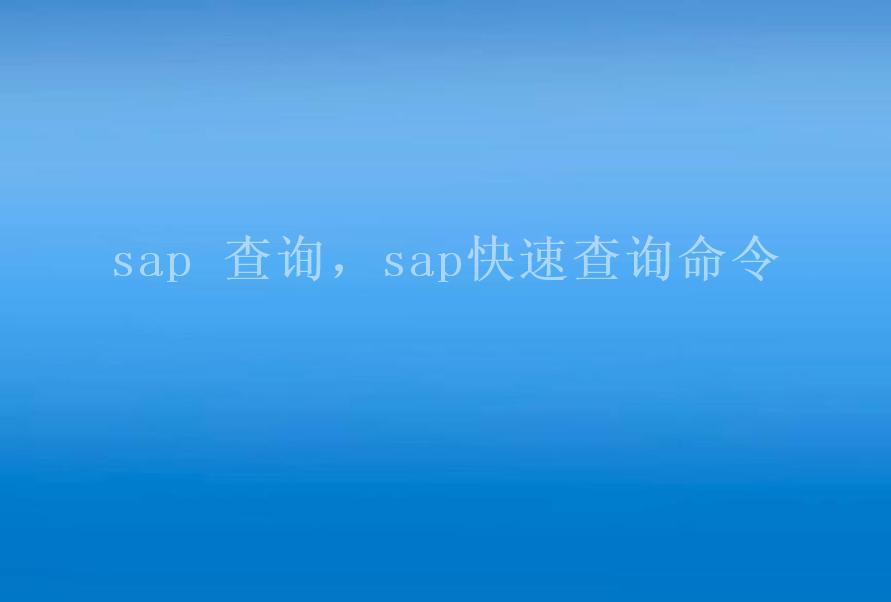 sap 查询，sap快速查询命令1