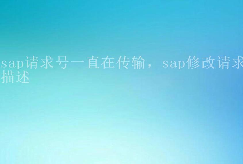 sap请求号一直在传输，sap修改请求描述1