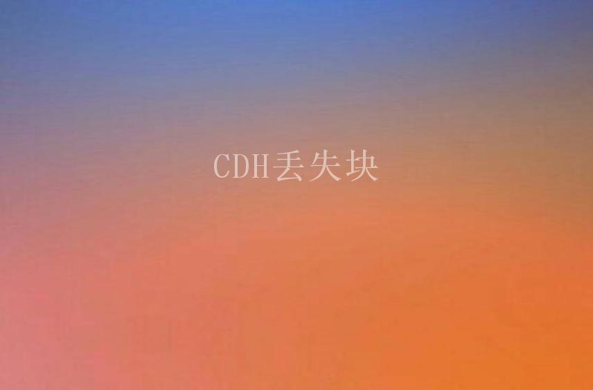 CDH丢失块2